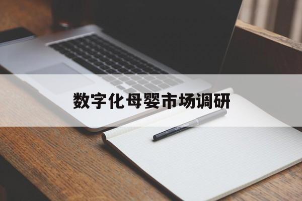 马尔康市数字化母婴市场调研(数字化母婴市场调研报告)