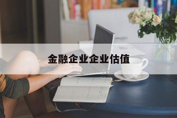 马尔康市金融企业企业估值(最新企业估值怎么填)